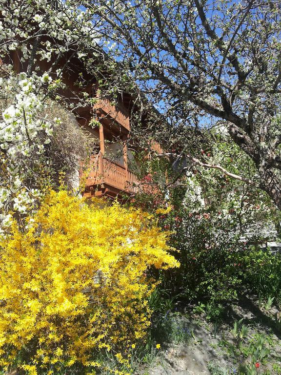 Chalet D'Heidi บูร์-แซ็งต์-โมริซ ภายนอก รูปภาพ